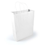 Paper Bags  - Express Paper Bag Large
