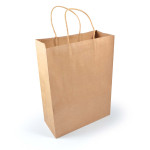 Paper Bags  - Express Paper Bag Large