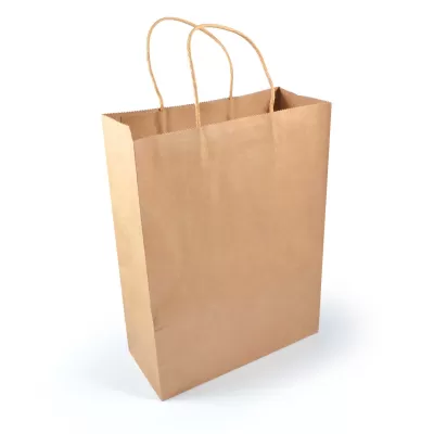 branded Express Paper Bag Large, from our range of promotional Paper Bags