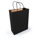 Paper Bags  - Express Paper Bag Large