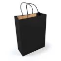 branded Express Paper Bag Large, from our range of promotional Paper Bags