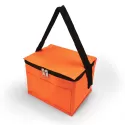 branded Alpine Cooler Bag, from our range of promotional Cooler Bags