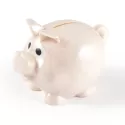 branded Worlds Smallest Pig Eco Coin Bank, from our range of promotional Money Boxes