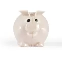 branded Worlds Smallest Pig Eco Coin Bank, from our range of promotional Money Boxes