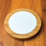 Phone &amp; Tablet Chargers  - Bamboo Ranger Fast Wireless Charger