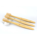 Travel Accessories  - Bamboo Toothbrush