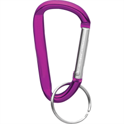 branded Carabiner Key Ring, from our range of promotional Tool Keyrings