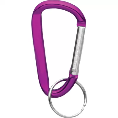 branded Carabiner Key Ring, from our range of promotional Tool Keyrings