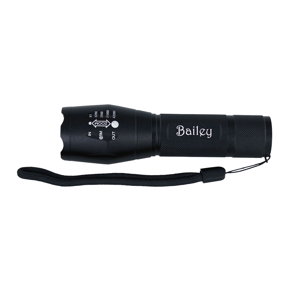 branded Trekk 300 Lumens Torch, from our range of promotional Torches