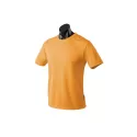 branded Mens Botany Tee, from our range of promotional Men's Promotional T Shirts