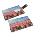 branded Superslim Credit Card USB - 8GB - Locally Stocked, from our range of promotional Flash Drives