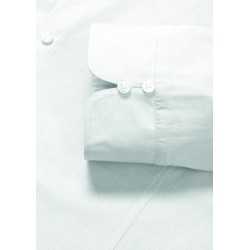 branded Ladies Luxe Long Sleeve Shirt, from our range of promotional Ladies Corporate Shirts