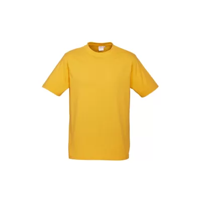 branded Mens Ice T-Shirt, from our range of promotional Men's Promotional T Shirts