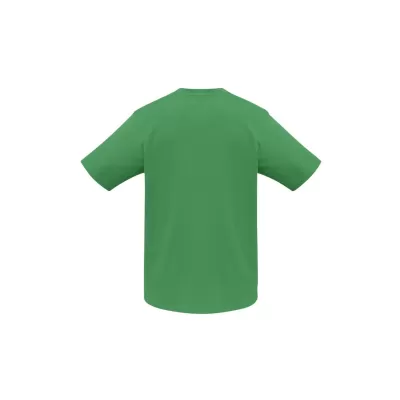 branded Mens Ice T-Shirt, from our range of promotional Men's Promotional T Shirts