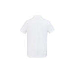 branded Ladies Regent S/S Shirt, from our range of promotional Ladies Corporate Shirts