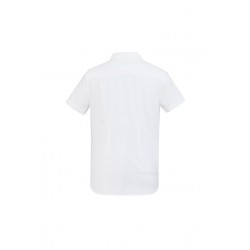 branded Ladies Regent S/S Shirt, from our range of promotional Ladies Corporate Shirts