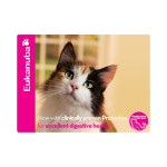 Mouse Pads  - Economy Counter 3mm Rubber Sponge
