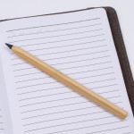 Bamboo &amp; Wood Enviro Pens  - Picasso Eco Bamboo Pen
