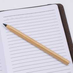 Bamboo & Wood Enviro Pens - Picasso Eco Bamboo Pen