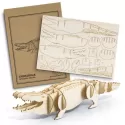 branded BRANDCRAFT Crocodile Wooden Model, from our range of promotional Executive Toys and Games