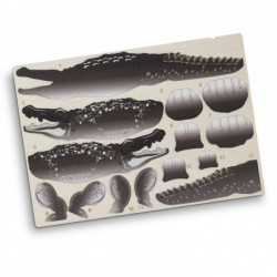 Executive Toys and Games - BRANDCRAFT Crocodile Wooden Model