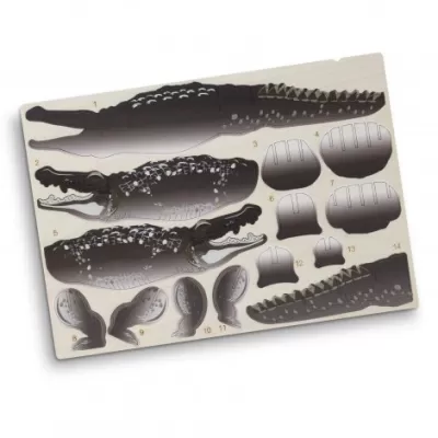 branded BRANDCRAFT Crocodile Wooden Model, from our range of promotional Executive Toys and Games