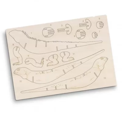branded BRANDCRAFT Tuatara Wooden Model, from our range of promotional Executive Toys and Games