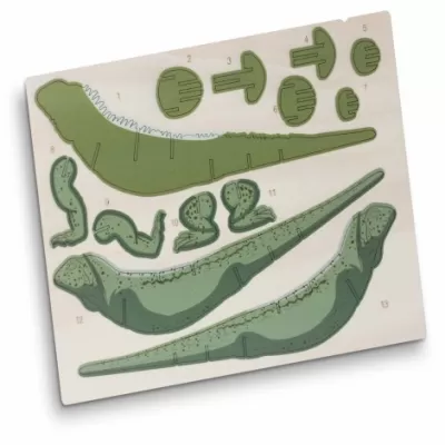 branded BRANDCRAFT Tuatara Wooden Model, from our range of promotional Executive Toys and Games