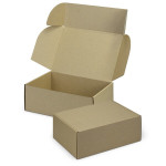 Packaging &amp; Gift Bags  - Die Cut Box with Locking Lid - 300x225x113mm