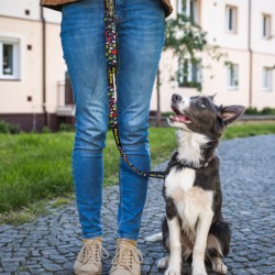 branded Amigo Dog Leash, from our range of promotional Pet Accessories