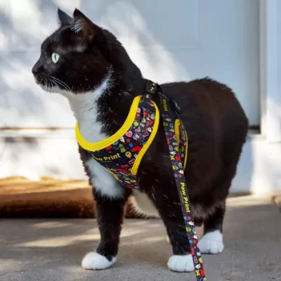 branded Amigo Pet Harness, from our range of promotional Pet Accessories