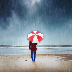 branded Vented Folding Umbrella, from our range of promotional Folding Umbrellas