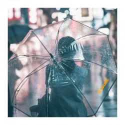 branded Transparent Eight-Panel Umbrella, from our range of promotional Custom Made Umbrellas