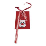 15g Candy Canes Packed in Cello Bags with Card &amp; Ribbon