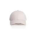 branded Icon Trucker Cap, from our range of promotional Caps