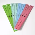 Recycled Plastic Ruler