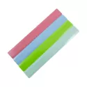 Recycled Plastic Ruler