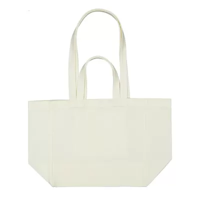 Splendid Canvas Bag