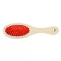 Grooming PET Brush