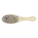 Grooming PET Brush