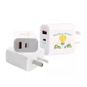 Paramount Wall 20W ABS Charger