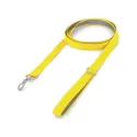 Lead Pet Accessory