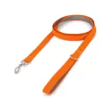 Lead Pet Accessory