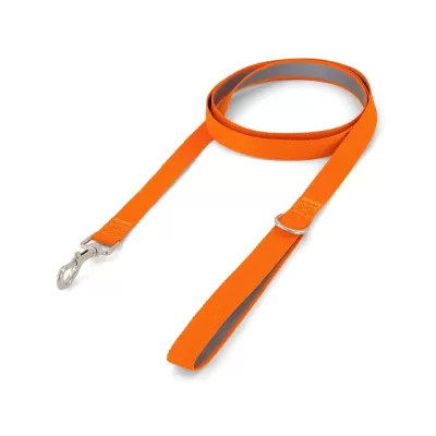 Lead Pet Accessory