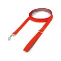 Lead Pet Accessory