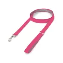 Lead Pet Accessory