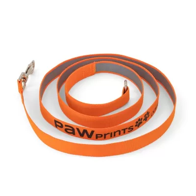 Lead Pet Accessory