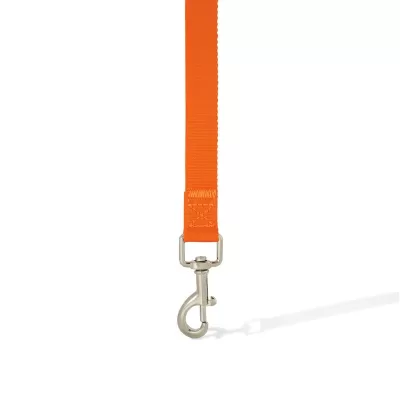 Lead Pet Accessory