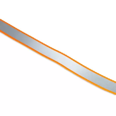 Lead Pet Accessory