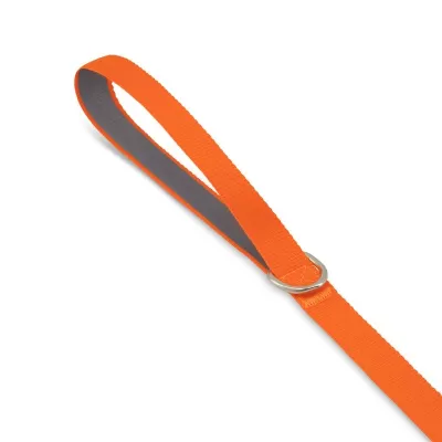 Lead Pet Accessory